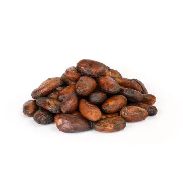 Fèves de cacao entières BIO