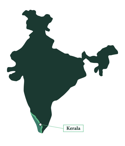 zoom-carte-INDE-CARAVELLE-VERTE-0420