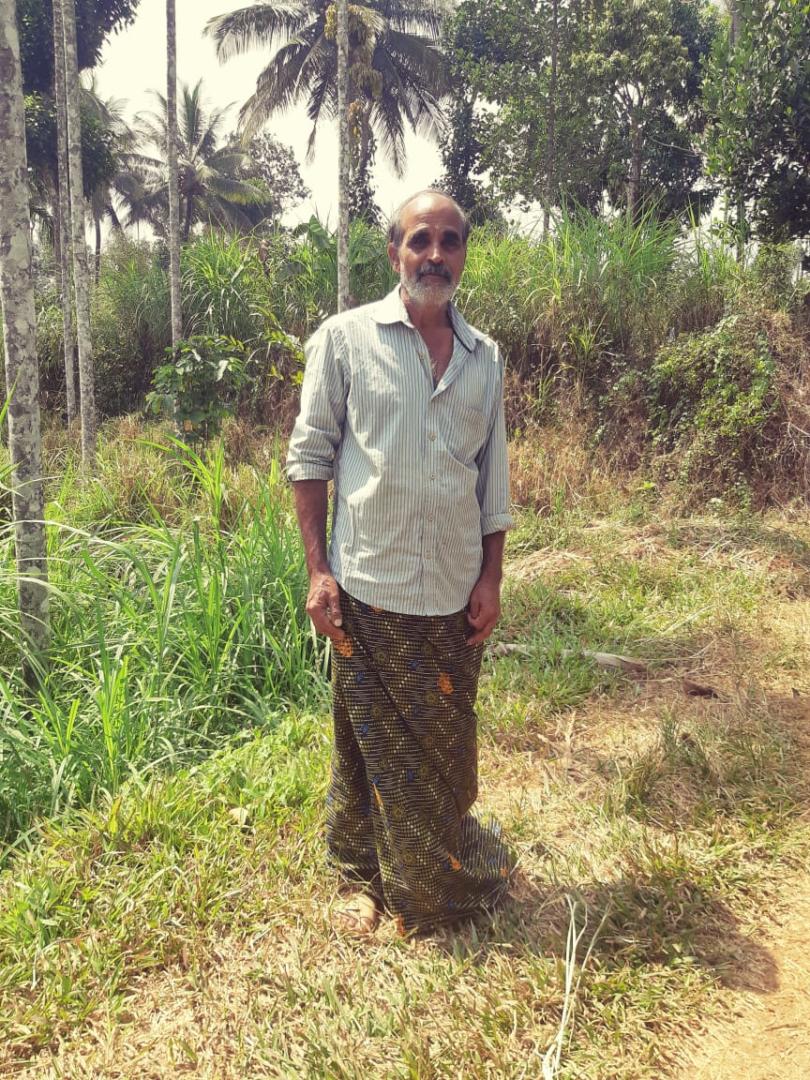 Poivre vert du Kerala en grains - Épices C' Bio