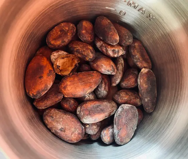 Fèves de cacao entières