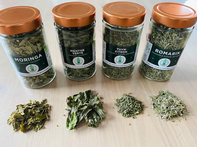 Plantes pour la tisane revigorante