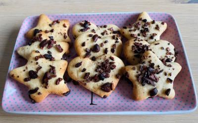 Biscuits moelleux aux éclats de fèves de cacao