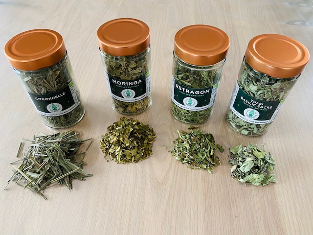 Plantes Bio pour la tisane Tisane bienfaisante