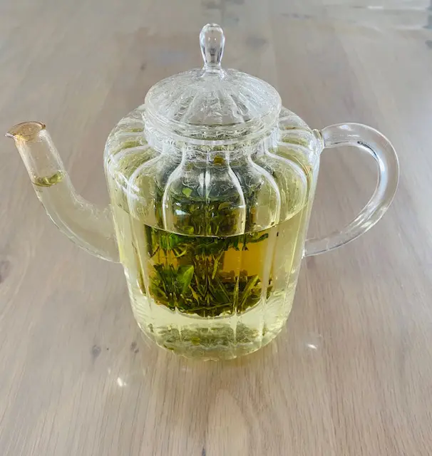 Tisane bienfaisante en cours d'infusion