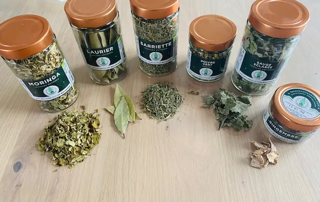 Ingrédients pour la tisane pêchue