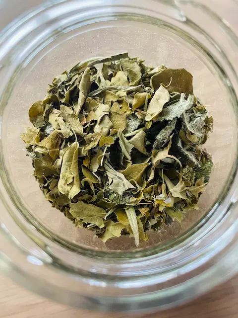 Tisane pêchue prête à l'emploi