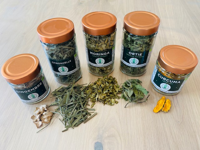 Epices et plantes bio pour la tisane reminéralisante